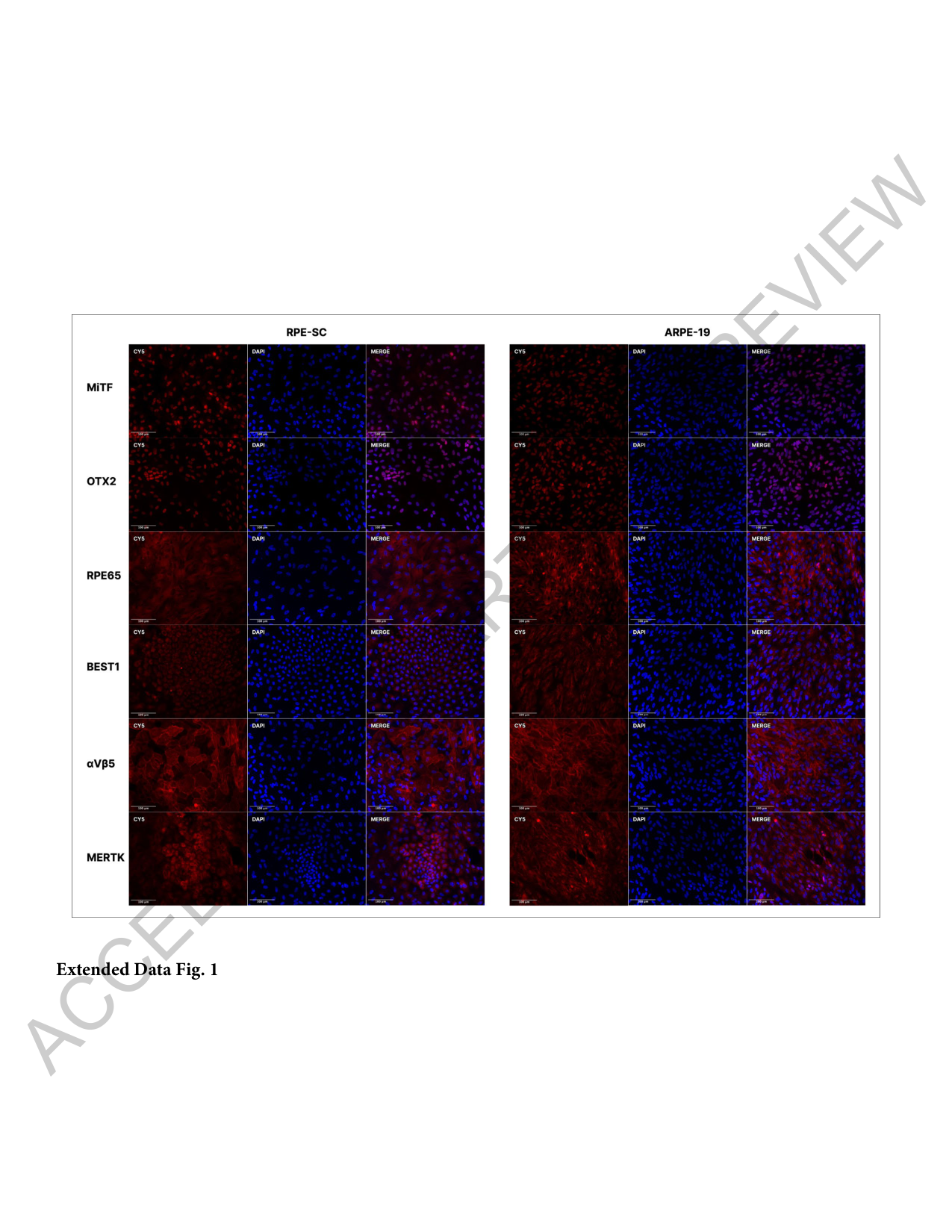 Extended Data Fig 1